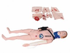 閉合式四肢骨折固定訓練模型